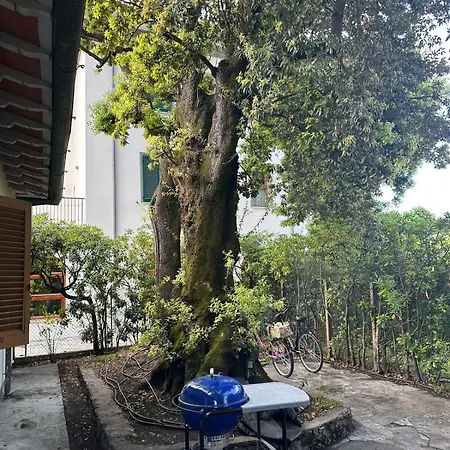 Indipendent Next To The Sea *