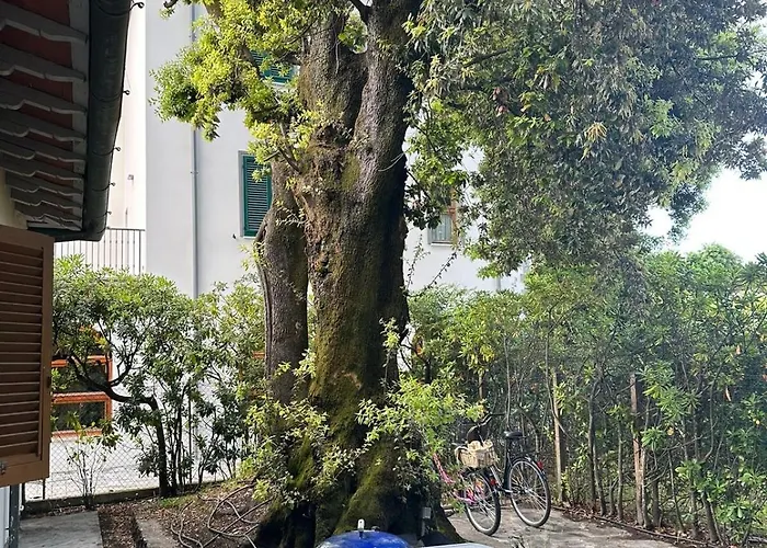 Indipendent Next To The Sea *